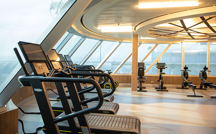the fitness center surrounded by windows ans lined with exercise machines like treadmills