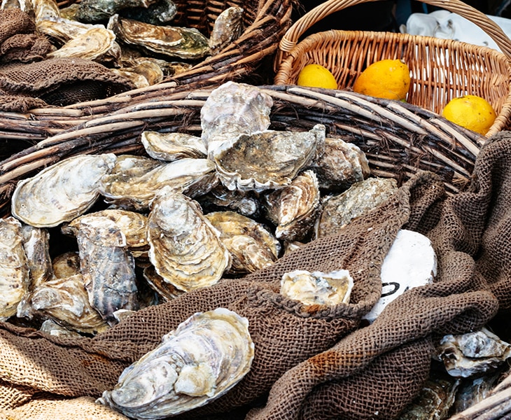 LA BALLUE GARDENS, CANCALE & OYSTER TASTING