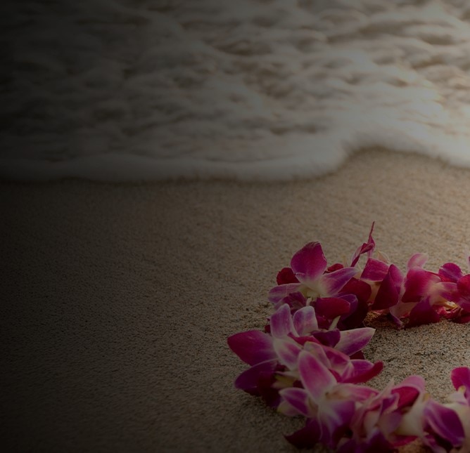 A Hawaiian lei laying on the sands of the beautiful Hawaiian islands