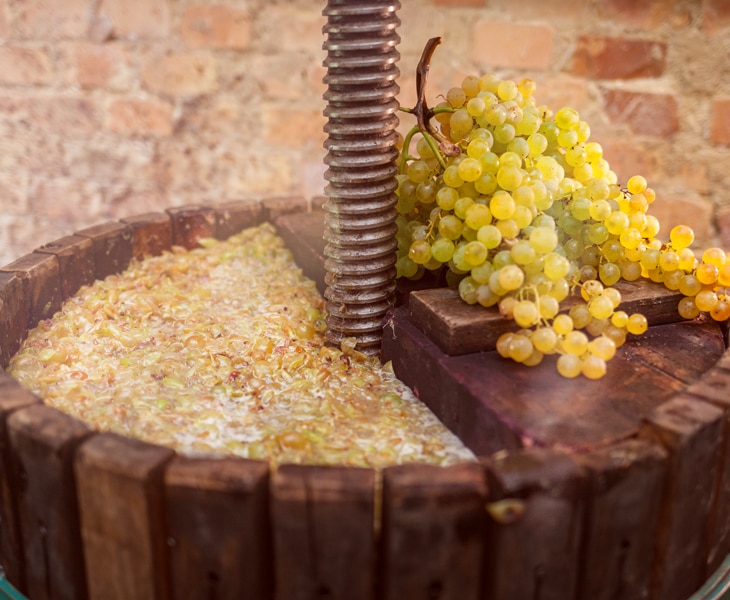 MAKE YOUR OWN WINE & DEGORGE CAVA