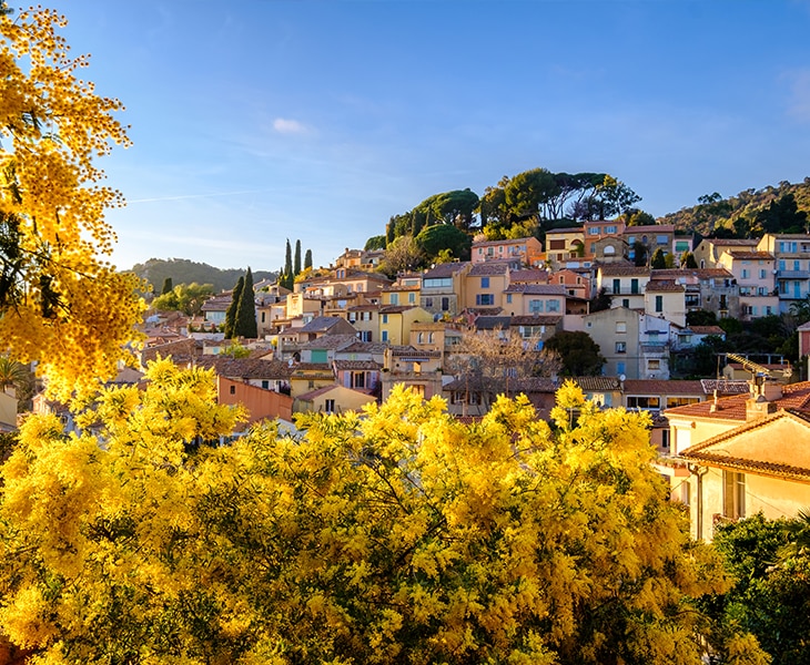 BORMES LES MIMOSAS & WINE TASTING