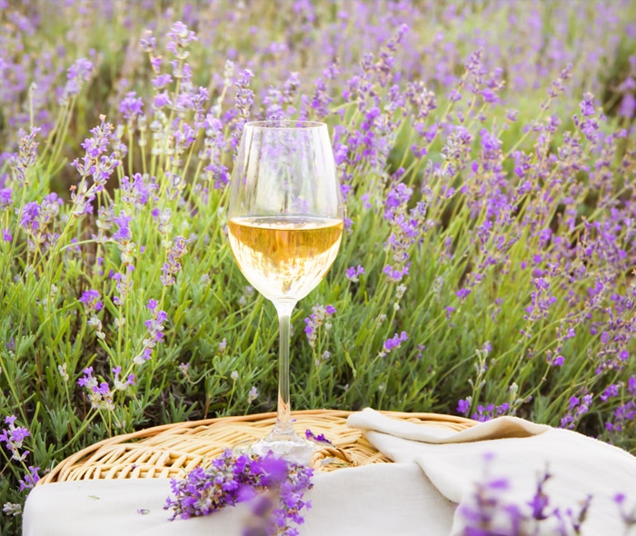 MASTER-CHEF-PROVENCE-LUNCH-&-WINES_FROM-PROVENCE-FRANCE.jpg