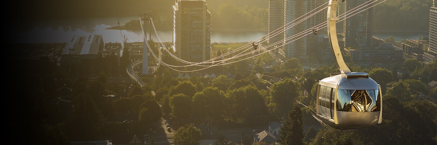 cruise