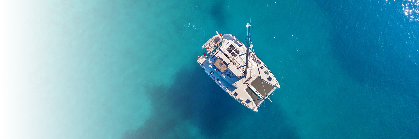 cruise