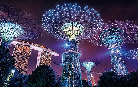 DISCOVER SINGAPORE
