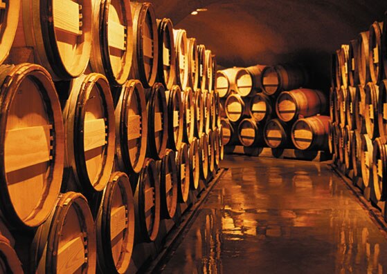 Chilean Wonders &                                              Wines