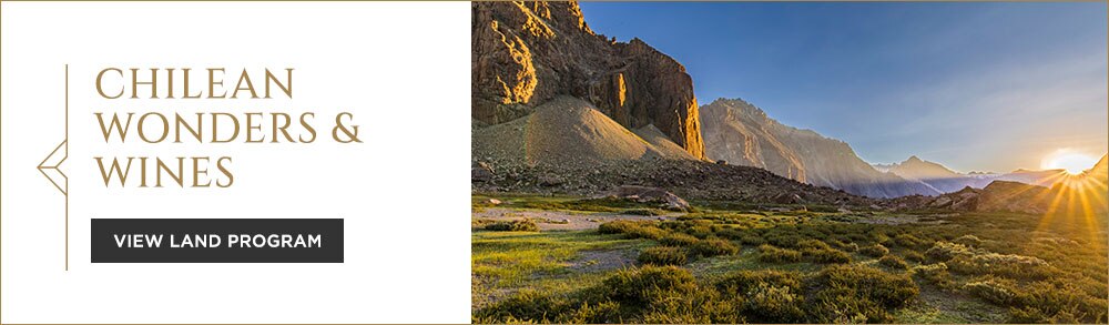 Chilean Wonders & Wines