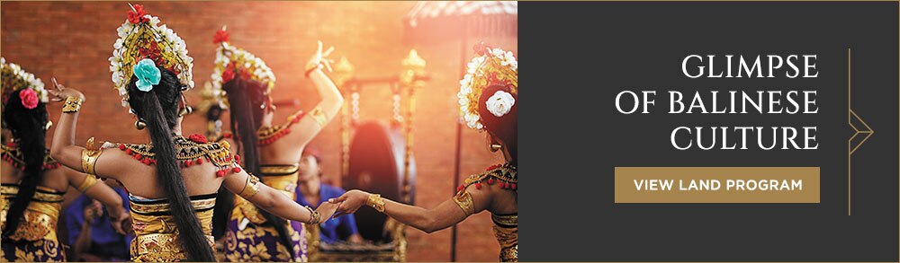 Glimpse of Balinese Culture