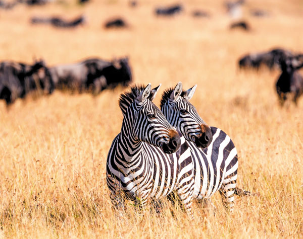 Unrivaled Experience on                                              Land