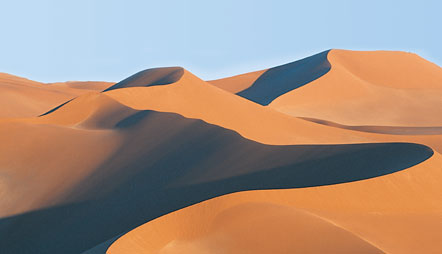 Wines, Dunes, &                                              Wildlife