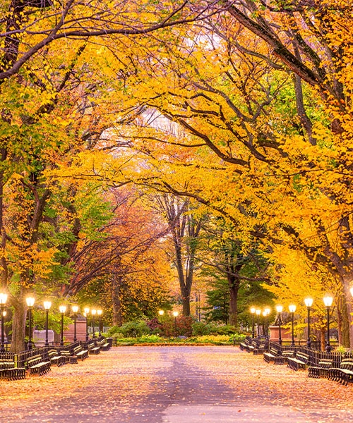 CANADA & NEW                                              ENGLAND