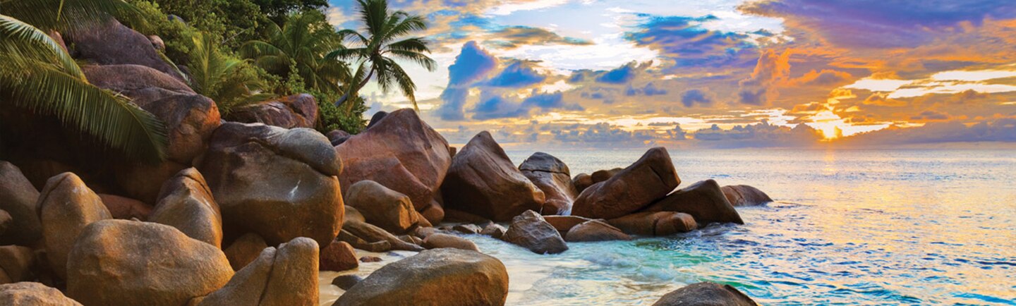 View Africa & Arabia Cruises
