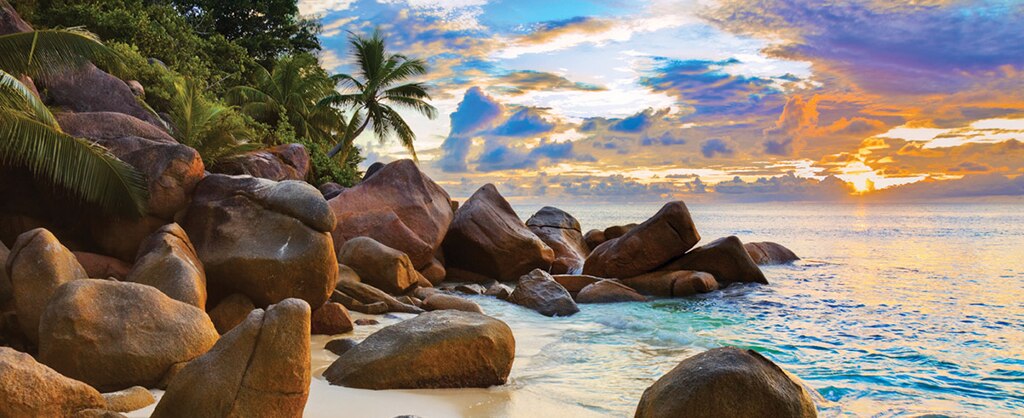 View Africa & Arabia Cruises