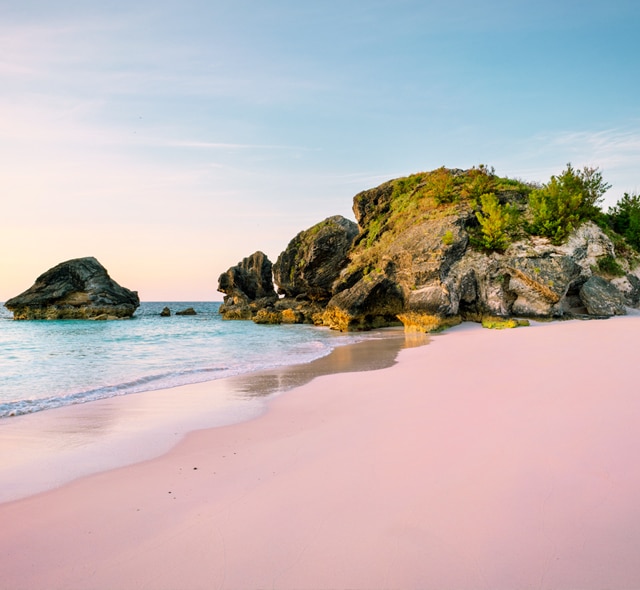 Pink Sands