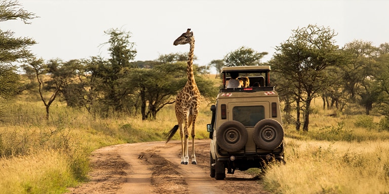 Pre- and Post-Cruise Land Programs