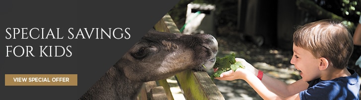 Special Savings for Kids