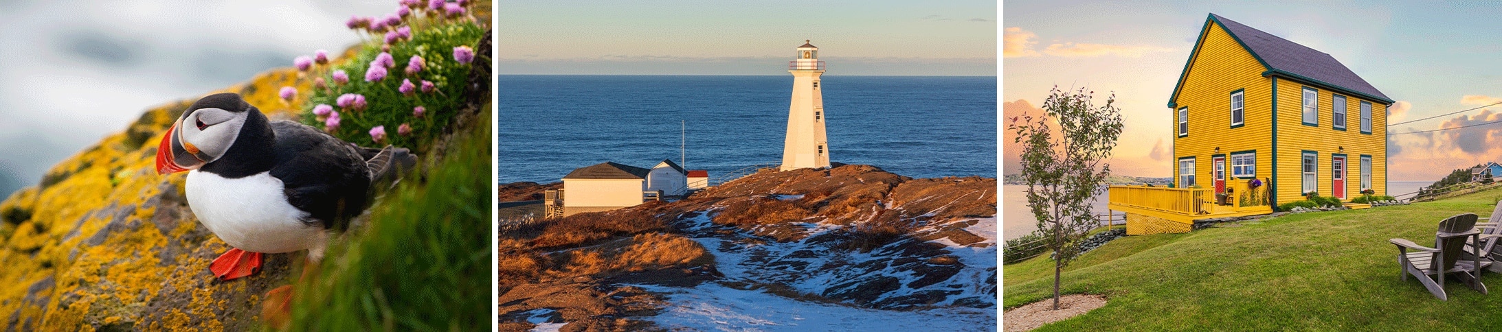 scenic views of St. John's Newfoundland Canada 