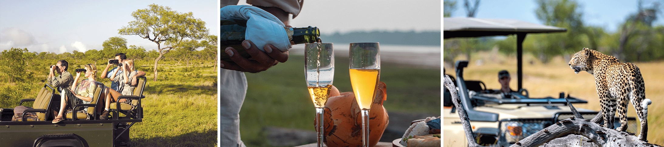 An African safari experience