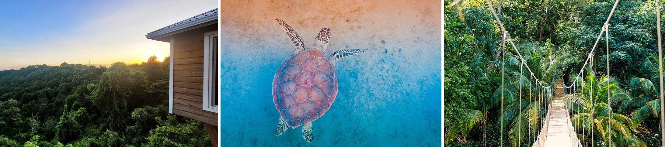 Sights to see in Roatan, Honduras