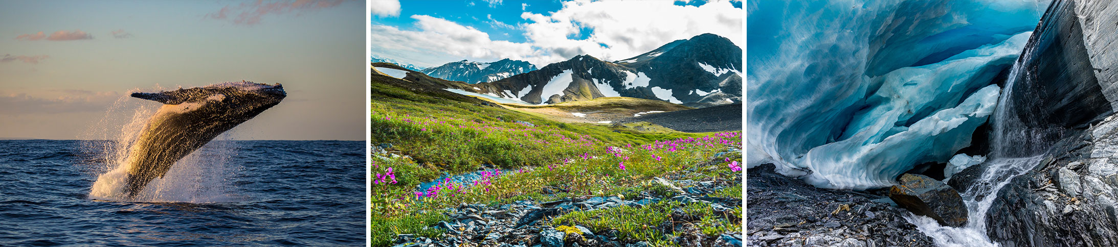 The beautiful sights of Alaska