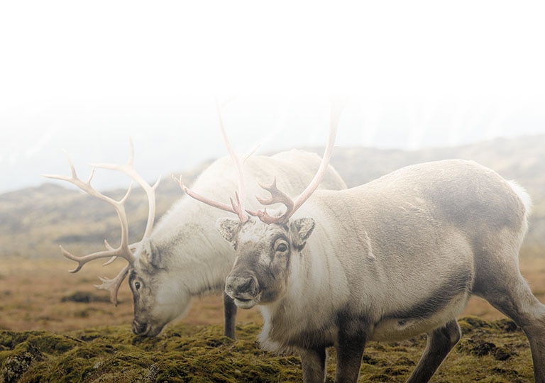 Vibrant Music Environment in Mobile, AL 2025