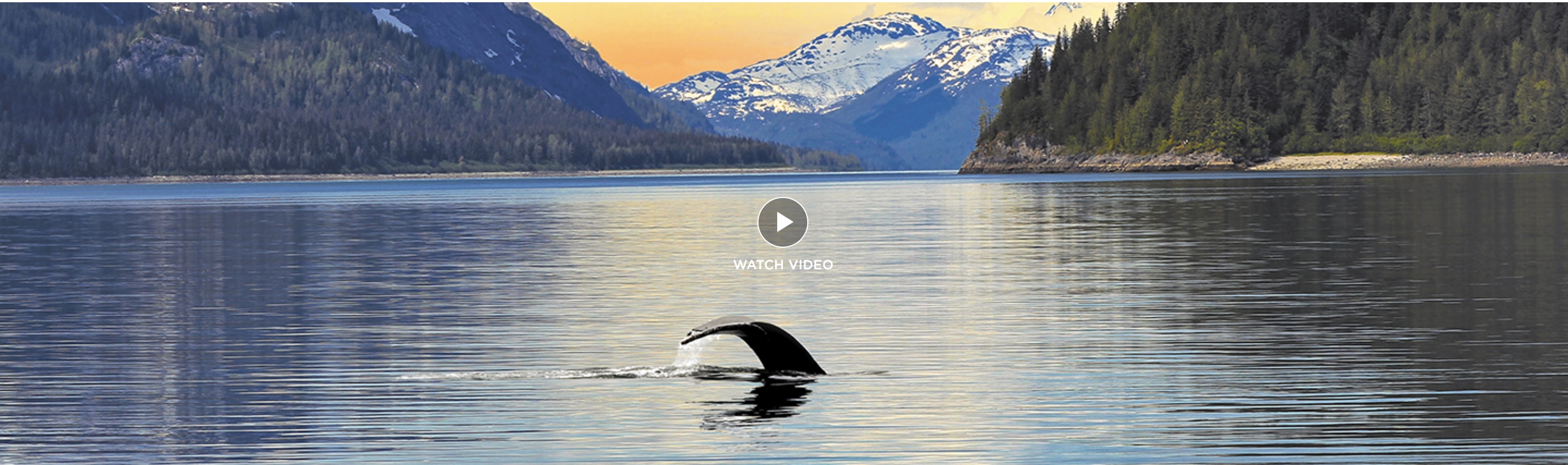 Limited Time Alaska Savings