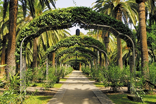 Tenerife Secret                                                Hideout