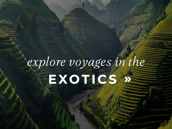 Explore Voyages in The Exotics 