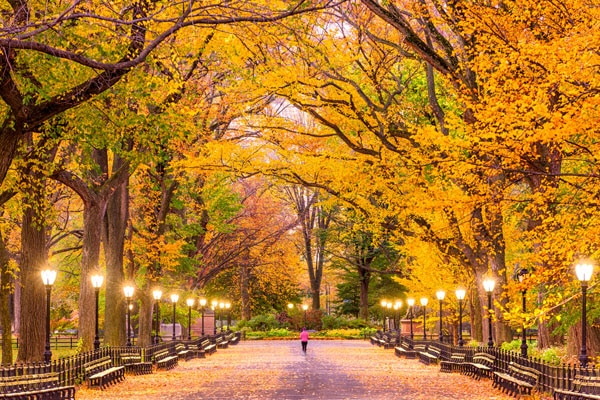 First Glimmer Of Fall