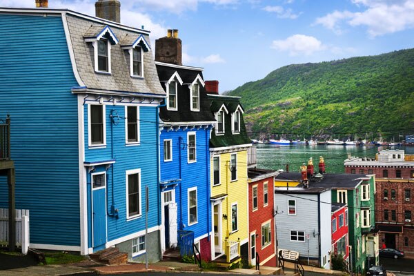 Foliage Of New                                              Foundland