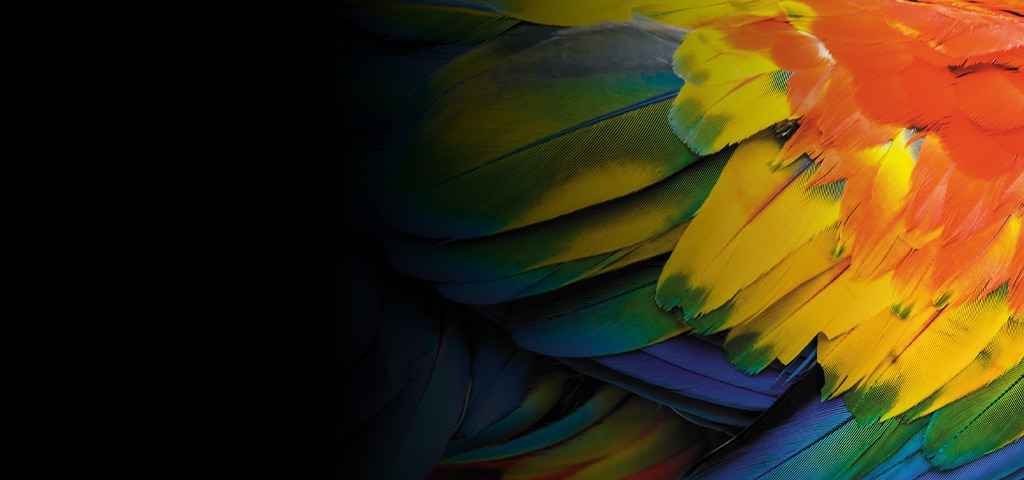 Exploring South America: Top 10 Shore Excursions