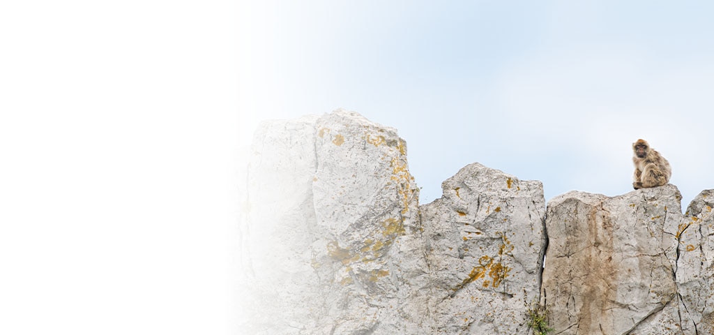 Wild & Wonderful Gibraltar