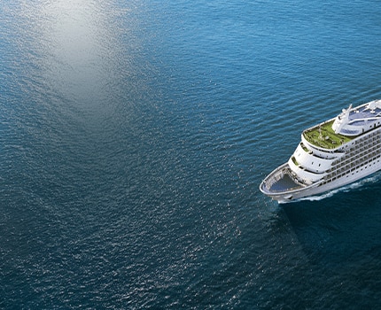 Aerial view of Seven Seas Navigator