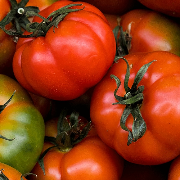 Tomatoes in Rome