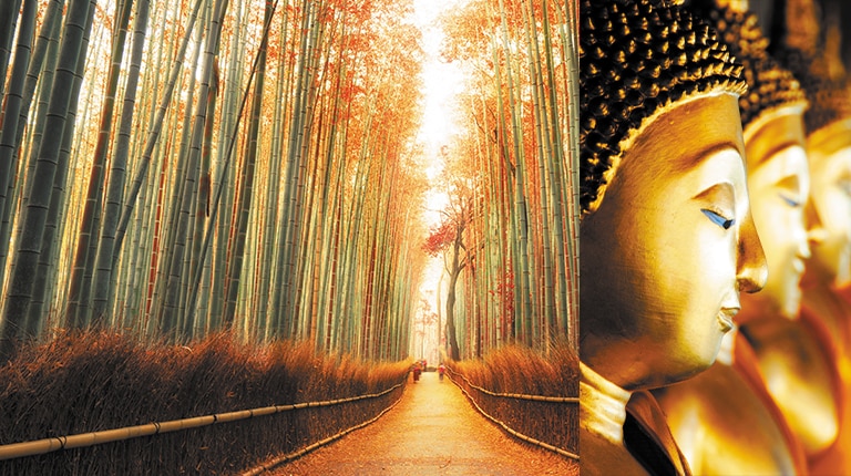 GRAND SILK SEAS PASSAGE