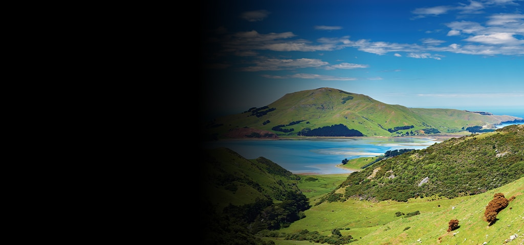 Regent Recommends: Dunedin Shore Excursions