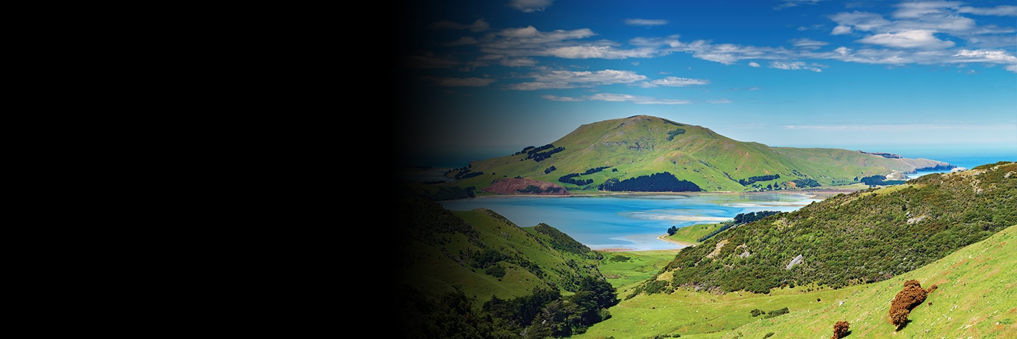 Regent Recommends: Dunedin Shore Excursions