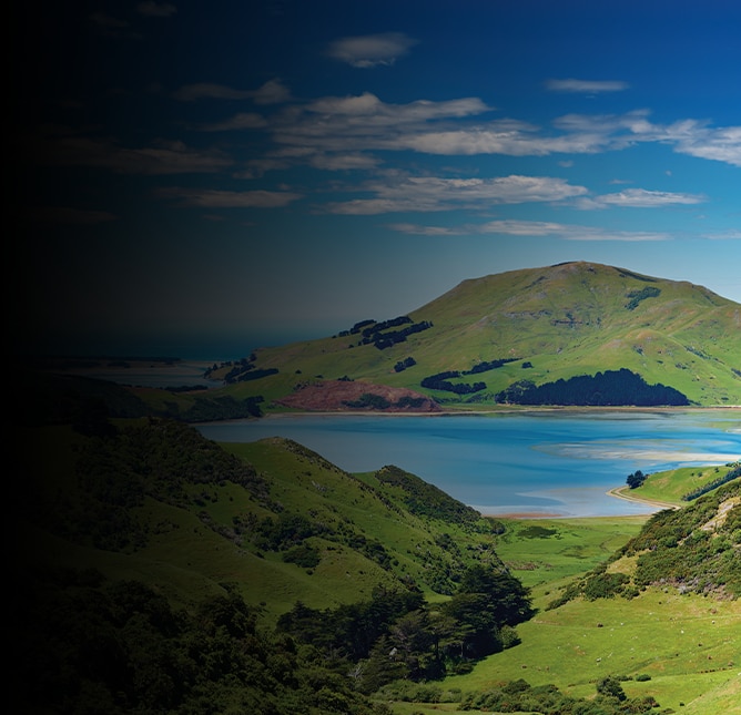 Regent Recommends: Dunedin Shore Excursions