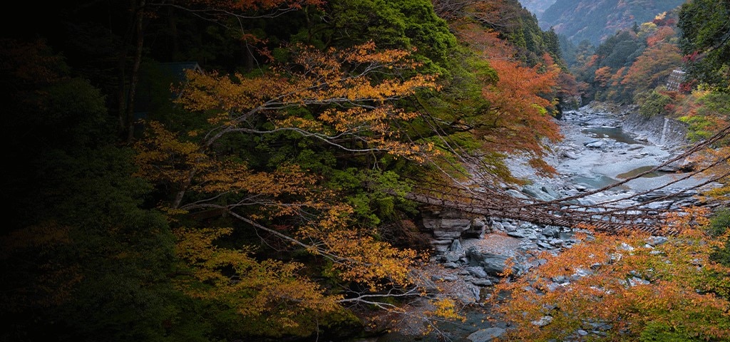 Iya Valley, Japan