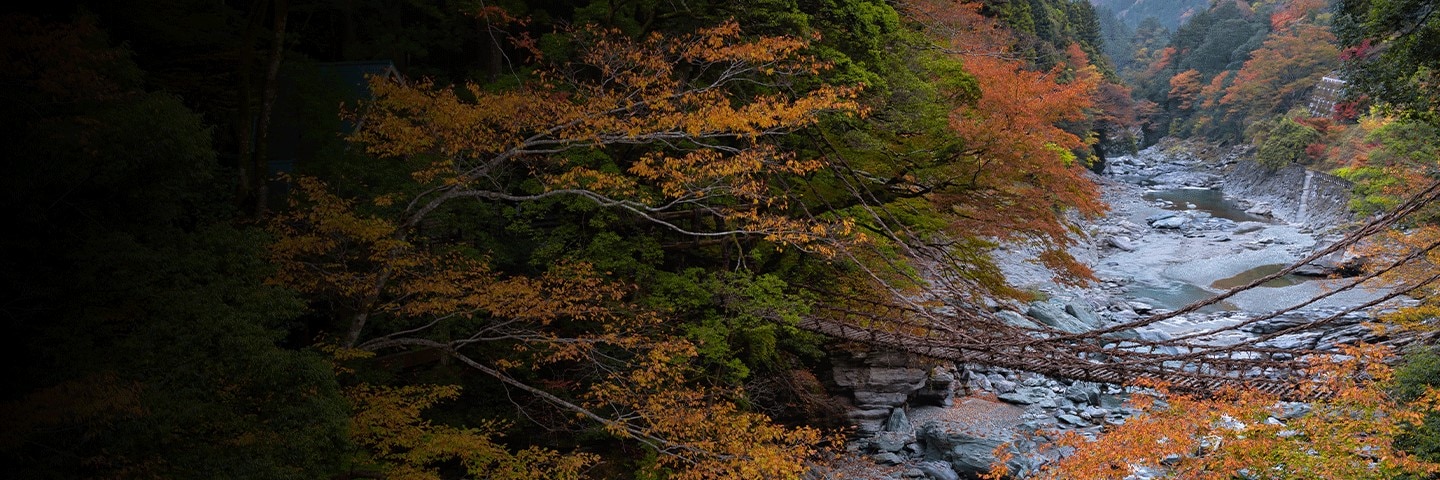 Iya Valley, Japan