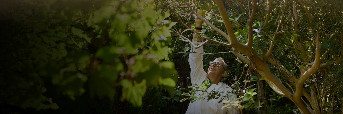 PASSEIOS EPICUREAN EXPLORER