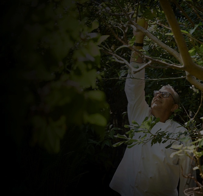 PASSEIOS EPICUREAN EXPLORER