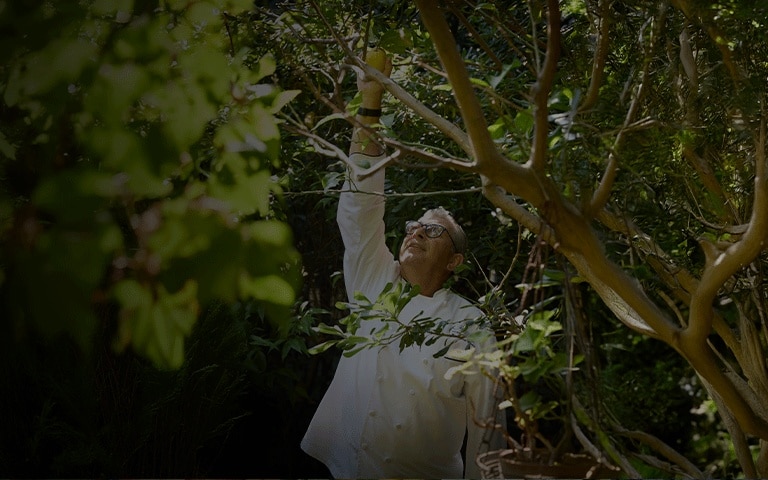 PASSEIOS EPICUREAN EXPLORER