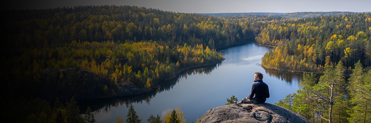 Scandinavian Joy: The World's Happiest Region
