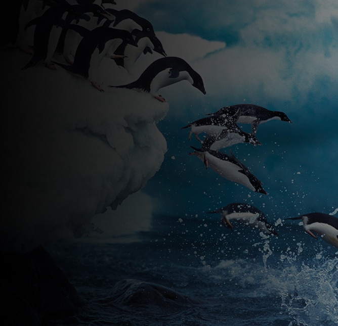 Capturing Antartica: Photo Tips When Cruising The Antarctic Peninsula 