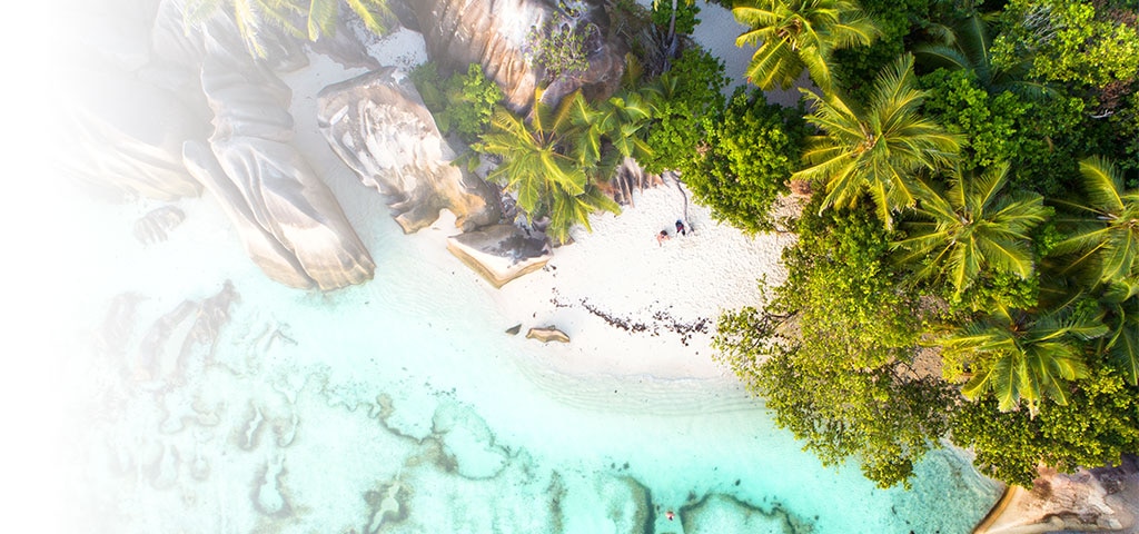 2022-2023 Voyage Collection Debut