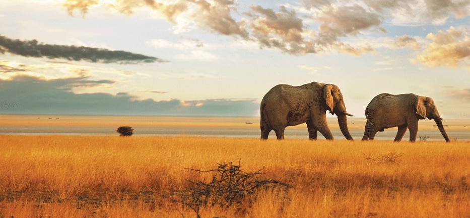 IMMERSIVE EXPLORATION™