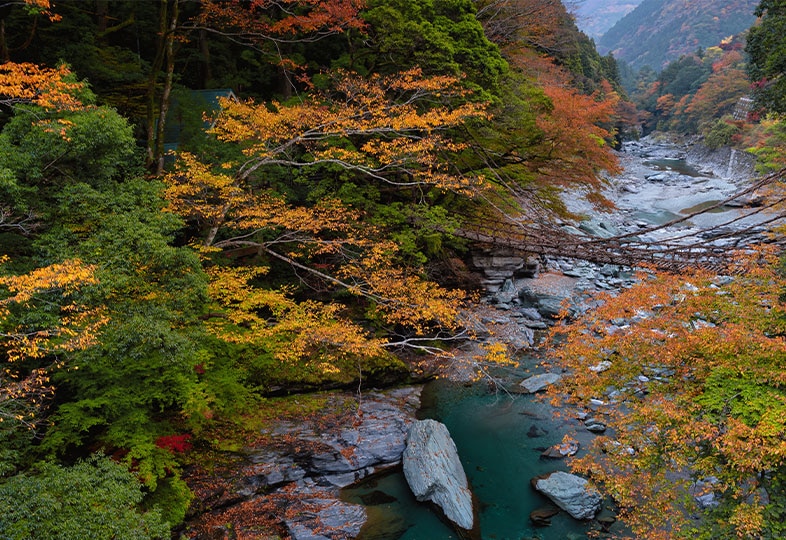Iya Valley, Japan