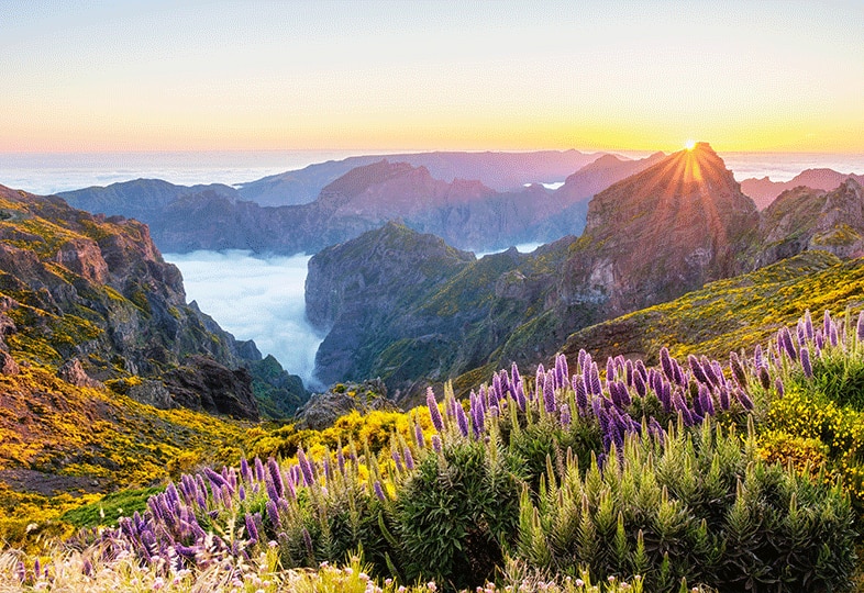 Pico Do Arieiro, Madeira, Portugal