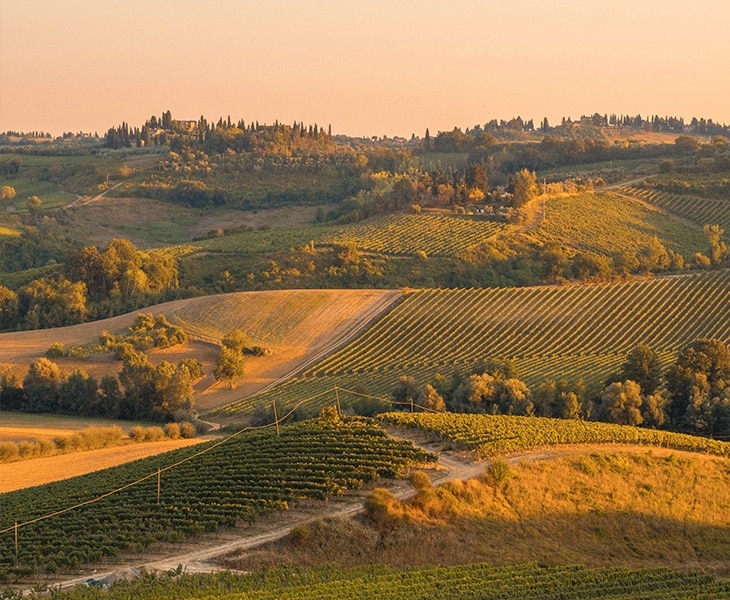 Spotlight on Wine with Anthony Giglio